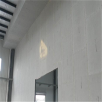 西乡塘宁波ALC板|EPS加气板隔墙与混凝土整浇联接的实验研讨